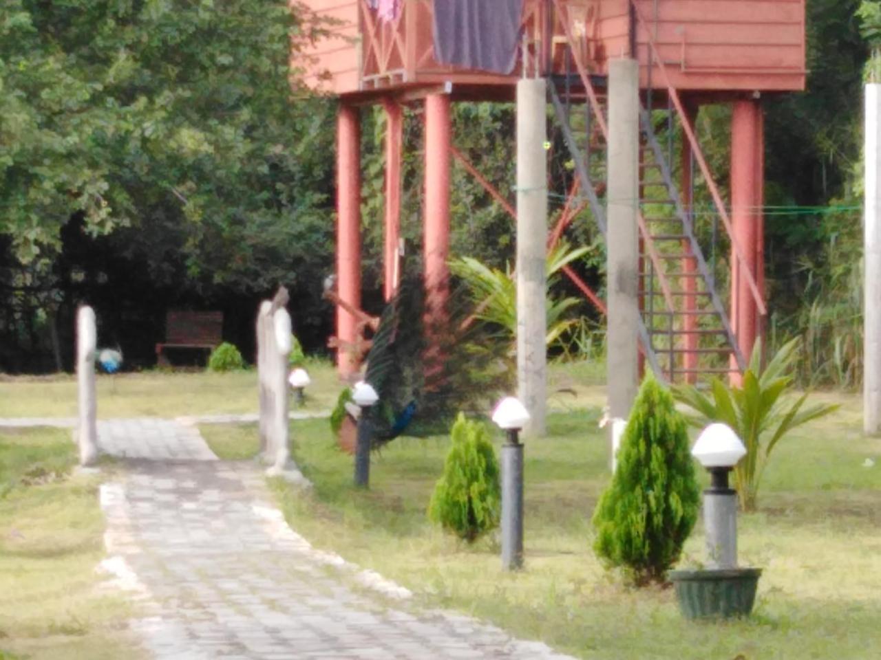 Hotel Sigiri Royal Point Tree House Sigiriya Exterior foto